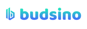 budsino-casinon-logo.png